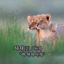플리츠플리즈 6월 먼슬리 원피스 후기 (부제: 쿨톤은 여기에 눕습니다..!)