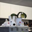 엄사주민센터 이미지