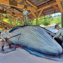 마을마당문화공원 이미지