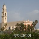 봄의언덕 이미지