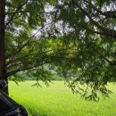 일광역 광장 | 244 [보몽드기장] 보몽드 입구 주의~, 기장카페, 장안사 카페, 임랑카페,월내카페, 할로윈 카페