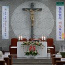 연중 제14주일 교중미사, 안봉환 스테파노 주임신부님 은경축일 행사 영상 및 사진 모음 1 이미지