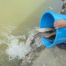 삼방낚시터 이미지