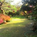 내곡동427 이미지