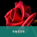 한울병원 | 거동 힘드신 부모님 계시다면 전라도 광주 북구 추천 요양원 한울요양원 최우수 요양시설 추천