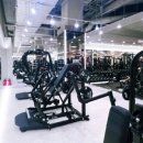 헤일로짐 피트니스 판교점 네이버블로그