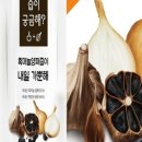 서강박스 네이버블로그