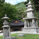 종삼의원 이미지