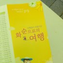 남산공원 달빛을 지 | 화순 국화축제 남산공원 국화향연 가을향기를 머금다♡