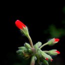 넓은세상 이미지