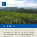 바우길 1구간 이미지