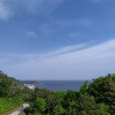 숲속의바다 숲속동 이미지