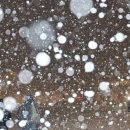 주식회사 예상 이미지