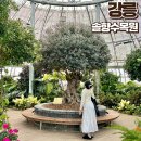 강릉솔향수목원 전시온실 열대식물원 3월 가볼만한곳 산책로