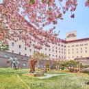 코오롱호텔 이미지