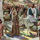 예산읍011 이미지