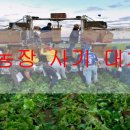 이글농장 이미지