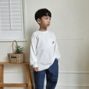 포켓불독 이미지