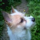 홍제동-7 이미지