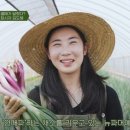 파머스 이미지