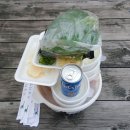 용배랜드