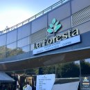 꿈의숲 라포레스타 | 북서울꿈의숲 브런치 맛집 카페 La Foresta 라포레스타 뷰좋은카페