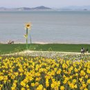 신안축구장 축구장 이미지