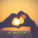 부산자동차유리복원 - 사하구 낙동대로 542 | 부산자동차유리복원