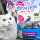 바이오농장 | 고양이 모래 추천 갸르릉연구소 100% 카사바 먼지없는모래 내돈내산 솔직후기