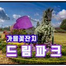드림파크 티스토리