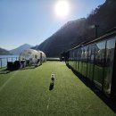 쁘띠독 | 가평 애견동반펜션 재방문 후기｜두 번째로 찾은 쁘띠독 펜션, 다시 와도 좋았다