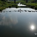 개울가 - 남해군 금암로 190 | 개울가
