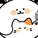 해피멍냥데이 - 서구 계룡로 562 | 해피멍냥데이