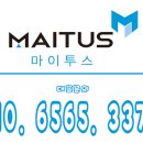 마이투스 이미지