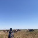 아이유모텔 | 내일은 기어코 다른 데서 눈 뜨자