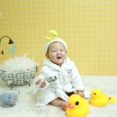 파파야스튜디오 네이버블로그
