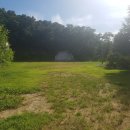 서해당구장 이미지