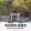 돌담약국 | 대마도 이즈하라 관광지 마트 간식