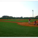 장안천야구장 이미지