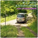 동강 포도원래프팅