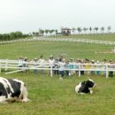 신종목장 이미지