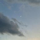 수성솔약국 | 23&#39; 11월-12월 일상