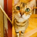 여주-1126 이미지