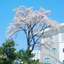 산수사랑건강원