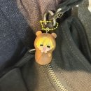 일상과 함께 도서전 후기