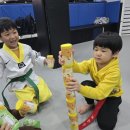 한울타리태권도장 이미지