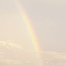 진천양우공인중개사사무소 이미지