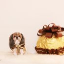 메이그루밍 이미지