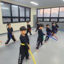 강철태권도체육관 이미지