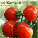 황둔 PC | 감동적인 신선함 쌈채소, 다이어터를 위한 샐러드 목살먹방 후기
